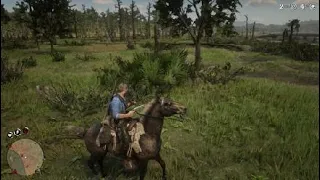 I swear this is the bravest horse. Red Dead Redemption 2