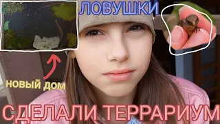 Сделали ТЕРРАРИУМ / Ловушки для ящериц