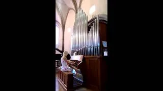 Prelude-Auditoire de Calvin Francis Gruaz organ