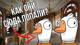 КАК ОНИ ЗАШЛИ В ПРИВАТНОЕ ЛОББИ? (Goose Goose Duck)