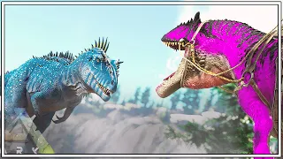 THERE CAN ONLY BE ONE APEX PREDATOR !! | ARK Caballus [Episode 81]