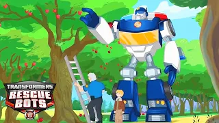 Transformers Rescue Bots | S02 EP1-4 | COMPILAÇÃO | Desenho animado infantil