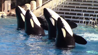 One Ocean (Full Show) at SeaWorld San Diego 10/25/16