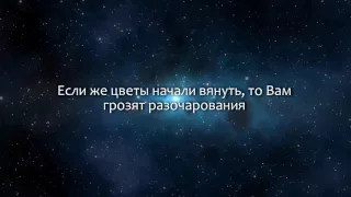 К чему снится Цветы (Сонник, Толкование снов)