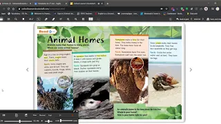Oxford Discover 1 - Unit 5 - Reading: Animal Homes