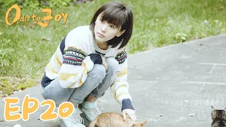 【ENG SUB】Ode To Joy 20 欢乐颂 | Liu Tao, Jiang Xin, Wang Ziwen, Yang Zi, Qiao Xin