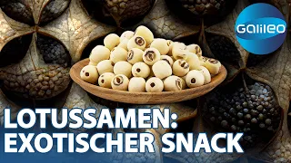 Neuster Food-Trend: Dieser exotische Snack macht dem Popcorn Konkurrenz | Galileo | ProSieben