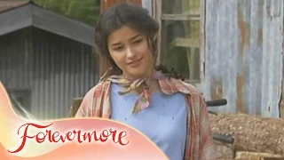 Forevermore: The Gratitude