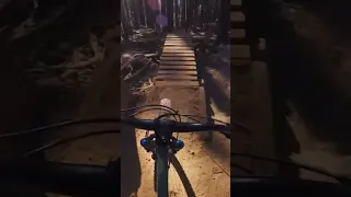 Hardtail vs DH Track