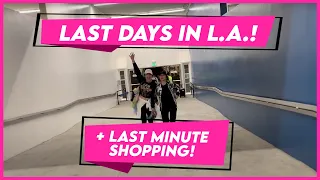 LAST DAYS IN LA! | Small Laude