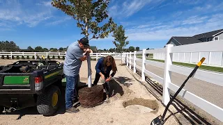 Planting Maple Trees on the New Property! 🌳🌳🌳// Garden Answer