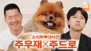 Joo Woo Jae shows off his dog and then sheds tears [Kang Hyung Wook's Dog Guest's Show] EP.1