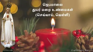 Rosary in Tamil | ஜெபமாலை Jabamalai | Jebamalai | Sorrowful Mystery |  துயர் மறை உண்மைகள் Tue & Fri