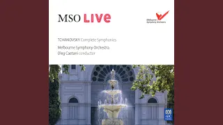 Symphony No. 6 in B Minor, Op. 74, TH. 30 "Pathétique": 3. Allegro molto vivace (Live In...