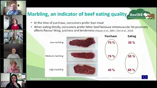 BovINE Webinar - Marbling in European Beef Cattle