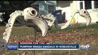 Pumpkin smash vandals in Noblesville