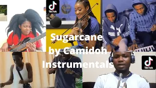Sugarcane Camidoh  Instrumentals | Who won this !!!