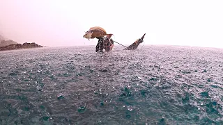 Spearfishing for Survival (NO FOOD) on deserted beach using Pneumatic SpearGun in Pouring Rain
