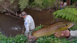 How to Catch Trout in Your Own Backyard