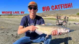Catching The BIGGEST Catfish Of My Life! Washoe Lake Nevada