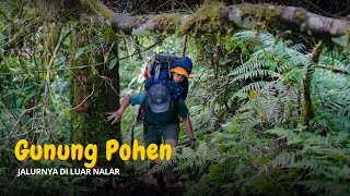 GOA BERDURI DI GUNUNG POHEN