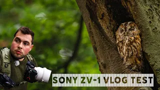 Sony ZV 1 Vlog test | Can it keep up for wildlife vlogging | Real world test | Best vlogging camera?