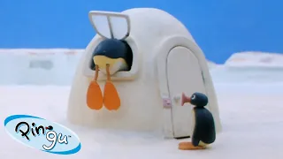 Pingu's Favorite Pastimes 🐧 | Pingu - Official Channel | Cartoons For Kids