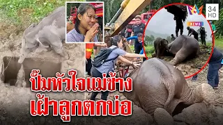 นาทีระทึก! ภารกิจช่วยลูกช้างตกท่อ หมอปั๊มหัวใจแม่ช้างสลบหน้าบ่อ | ทุบโต๊ะข่าว | 13/07/65