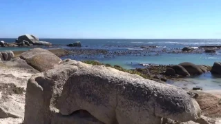 Tidal pool #8 - Approaching Miller's Point (2)