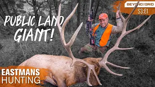 GIANT Bull! Elk Hunting on Public Land DIY