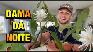 TUDO SOBRE a FAMOSA DAMA da NOITE | Henrique Buttler