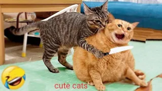 Funniest Animals 2023 😂 Best Funny Cats and Dogs 🐶 Part 33