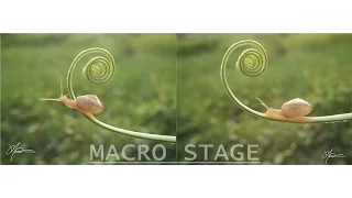 Tutorial Macro 5  2016 ( How To Make Macro Stage Snail )