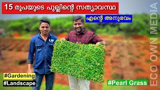 ഇതാണ് 15 രൂപക്ക്  കൊടുക്കുന്ന Peral grass ന്റെ സത്യാവസ്ഥ | Peral grass | lower price | landscape