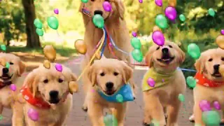 Новый 2018 год Год  Желтой Земляной Собаки
