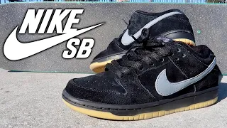 Nike SB DUNK LOW REVIEW & WEAR TEST!