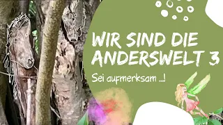 #259 💖 Wir sind die Anderswelt, Teil 3 🌳 Wechsel deine Perspektive. Kannst du sie sehen? 😎