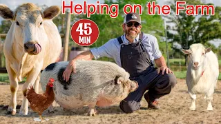 Helping a Farmer Feed and Care For His Animals (Educational Farm Video For Kids)