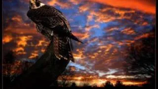 Rednex-The spirit of the hawk (with lyrics)
