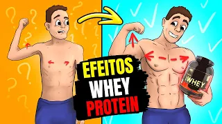 O QUE ACONTECE COM SEU CORPO SE TOMAR WHEY PROTEIN TODOS OS DIAS