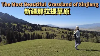 中国新疆最美的草原，那拉提大草原 | The Most Beautiful Grassland in Xinjiang China