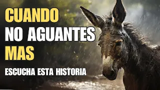 El burro maltratado | Historias que cambian tu vida