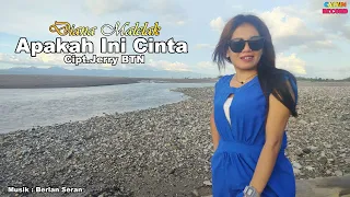 APAKAH INI CINTA || Diana Malelak || Cipt.Jerry BTN