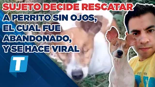 Sujeto decide rescatar a perrito sin ojos, el cual fue abandonado, y se hace viral