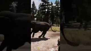 Bull vs Bear - Far Cry 5 #shorts