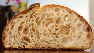 How to make a Multi-seed Sourdough Bread with an OPEN Crumb