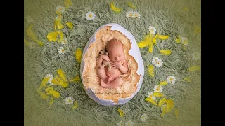 Newborn digital backdrop Easter Egg How to use digital backdrop  - tutorial Photoshop