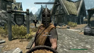 I used to be an adventurer like you, then I took an arrow in the knee ORIGINAL