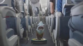 Delta’s Latest Safety Video