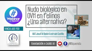 Nudo biológico en OVH en felinos ¿Una alternativa? - MVZ Josafat Abdón Lestrade Castillo